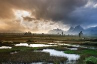 Green Field Under Black Cloud