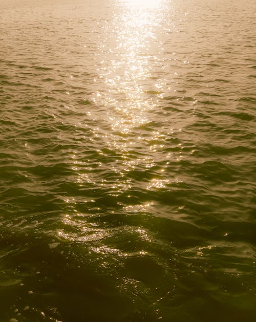 H2O, 反射, 夏天 的 免費圖庫相片