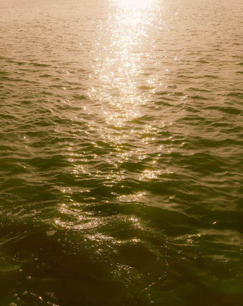 Free A photo of the sun shining on the water Stock Photo