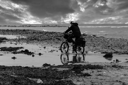 Imagine de stoc gratuită din alb-negru, bicicletă, călărie