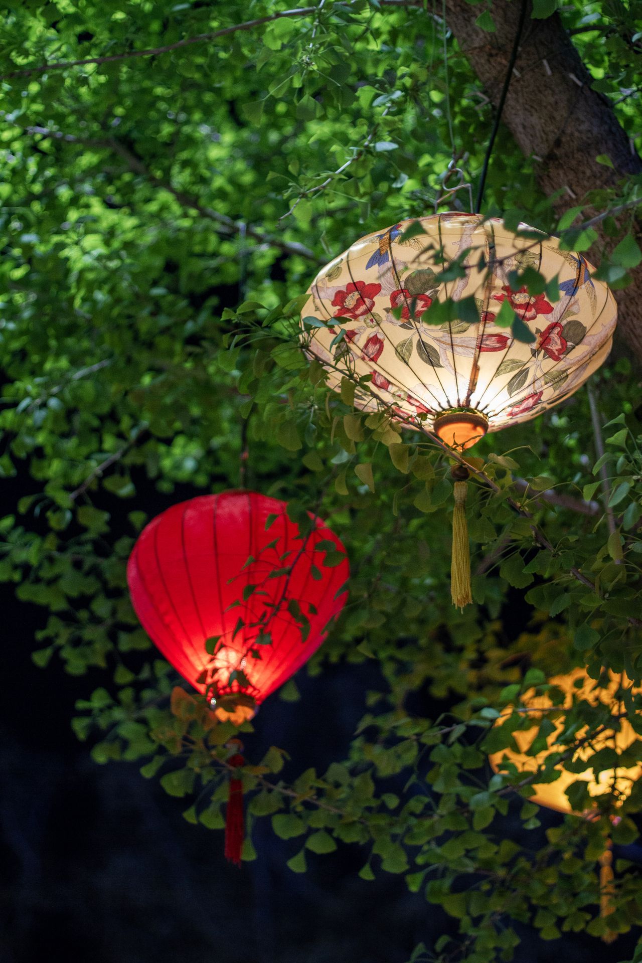 Ilustrasi lampion warna-warni menyala di malam hari