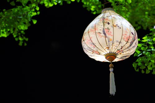 Free Chinese lantern Ginkgo biloba  Stock Photo