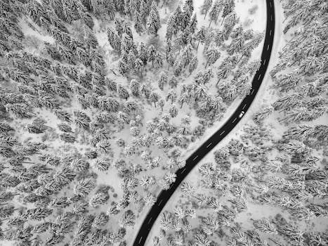 Aerial view of a snowy forest and winding road, creating a striking black and white winter scene in Germany.