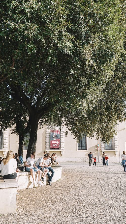 Free People enjoying a sunny day on benches under a tree in an urban setting. Stock Photo