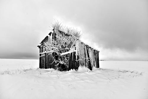 Fotobanka s bezplatnými fotkami na tému mráz, sneh, stodola