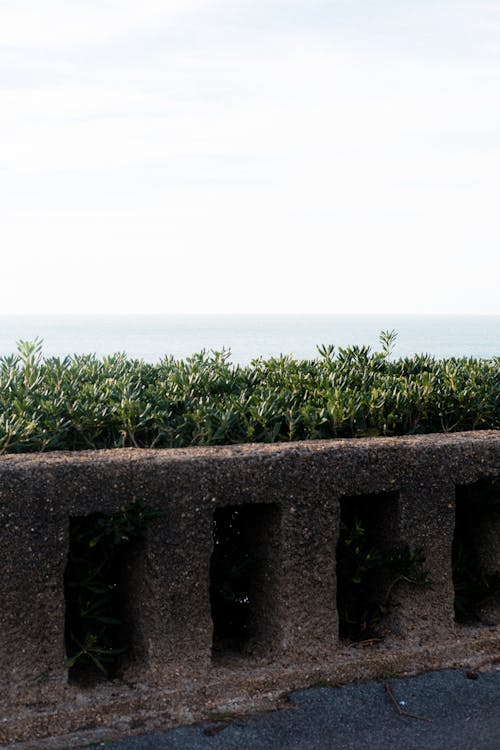 Free A man standing on a wall looking out to the ocean Stock Photo