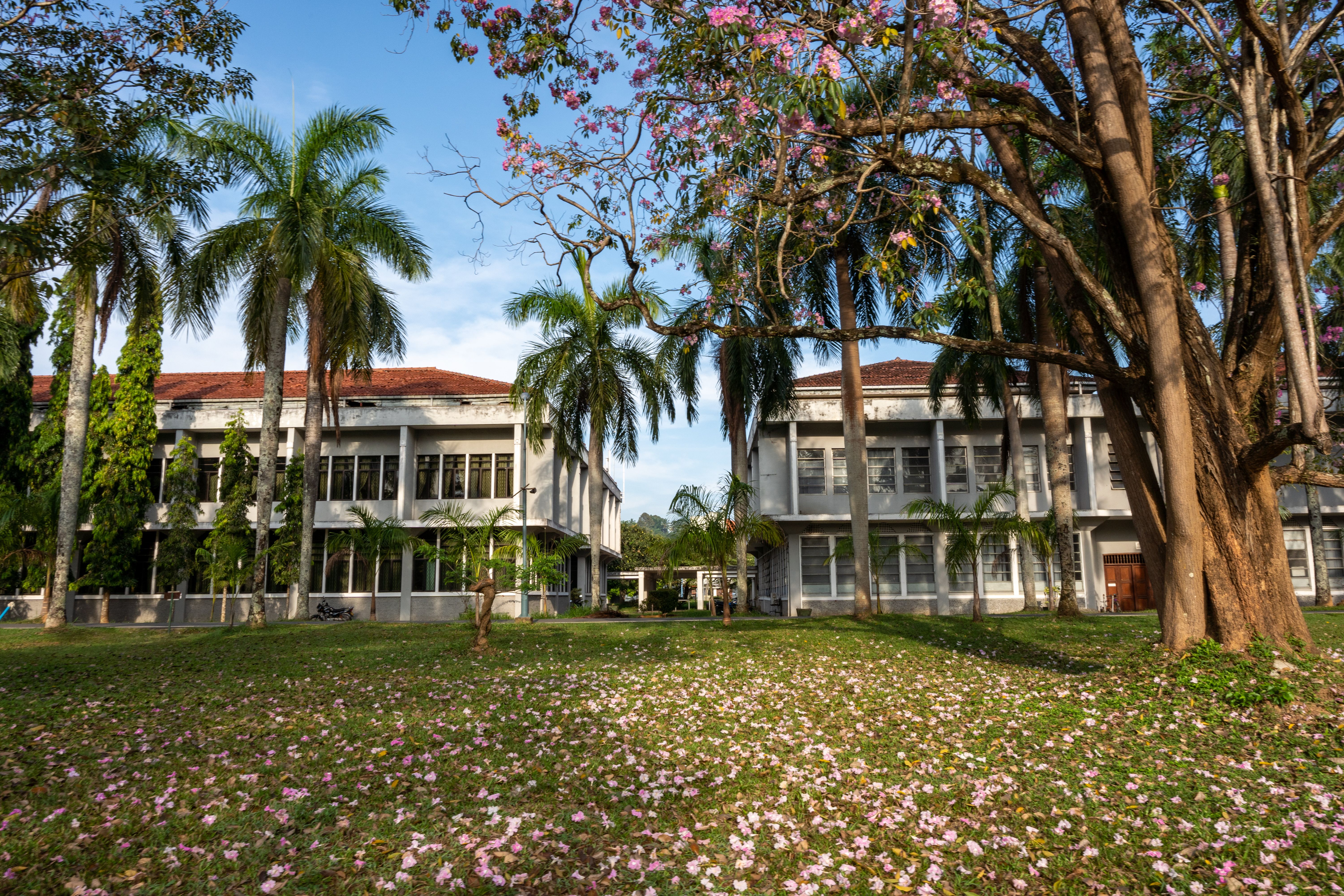 general education department — Photo by Thilina Alagiyawanna on Pexels