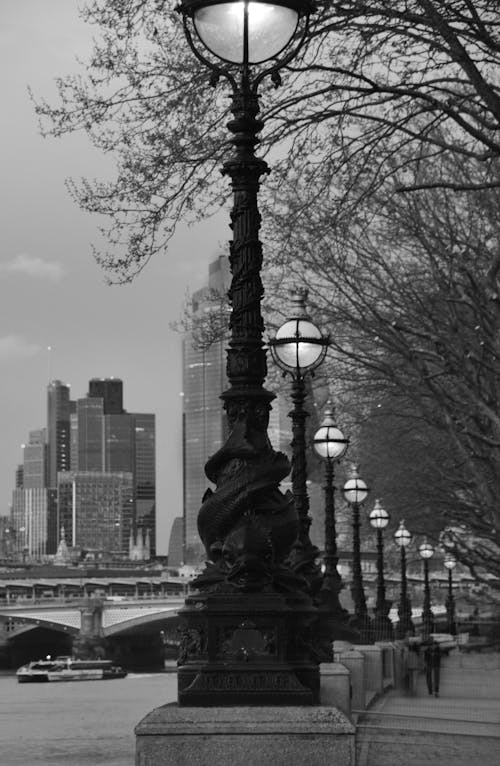 Black and white photo of a lamp post with a city skyline