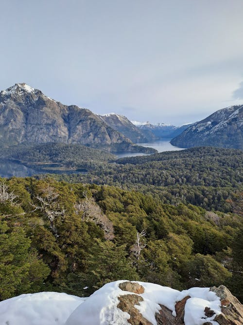 Foto d'estoc gratuïta de bosc, muntanyes, neu