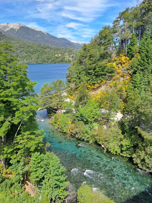 原本, 夏天, 山 的 免費圖庫相片