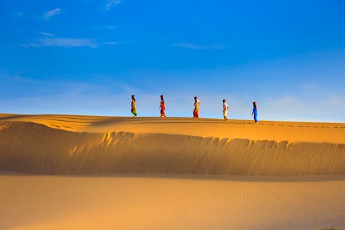 Základová fotografie zdarma na téma chůze, denní světlo, duna
