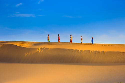 People Walking on Yellow Dessert