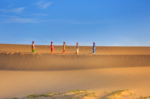 무료 모래에 걷는 다섯 여자 스톡 사진