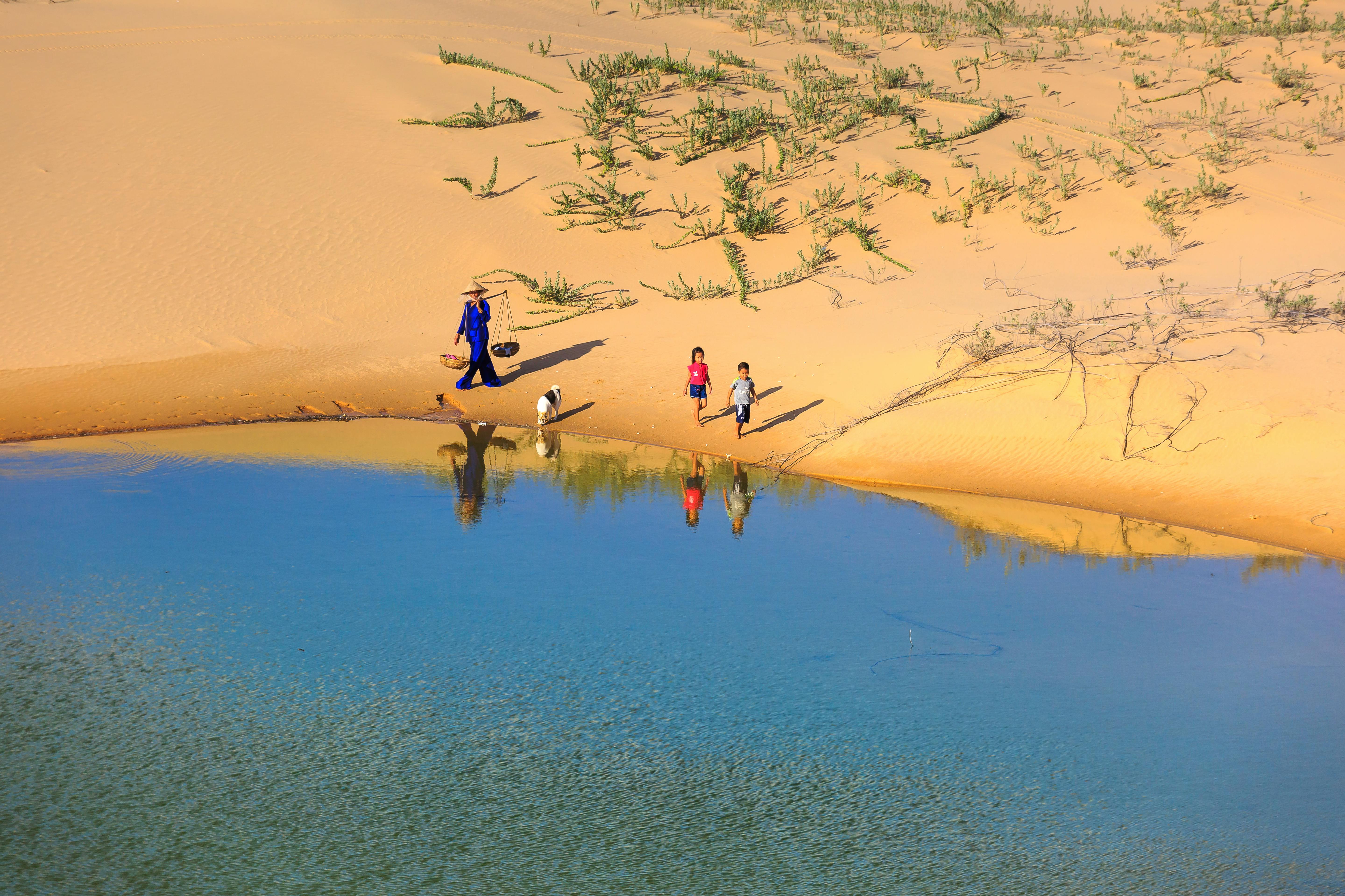 在一片宁静的绿洲，儿童和成人在沙质海岸线上散步，映照出鲜艳的色彩