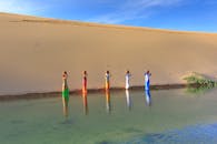 五个充满活力的人物站在一片宁静的绿洲旁，绿洲位于广阔的沙漠中