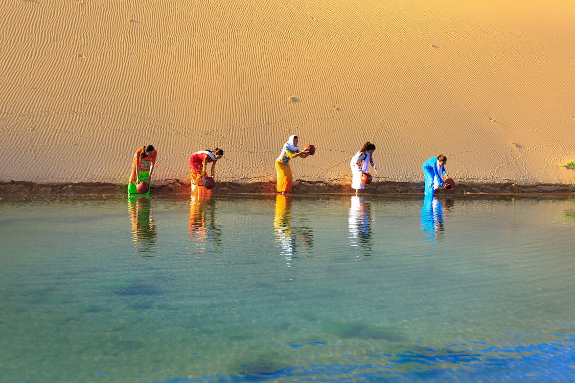 五名妇女从水体中取水