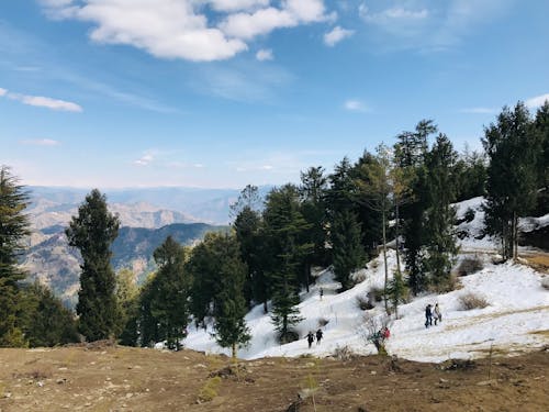 People walking on a snowy hillside with trees and snow