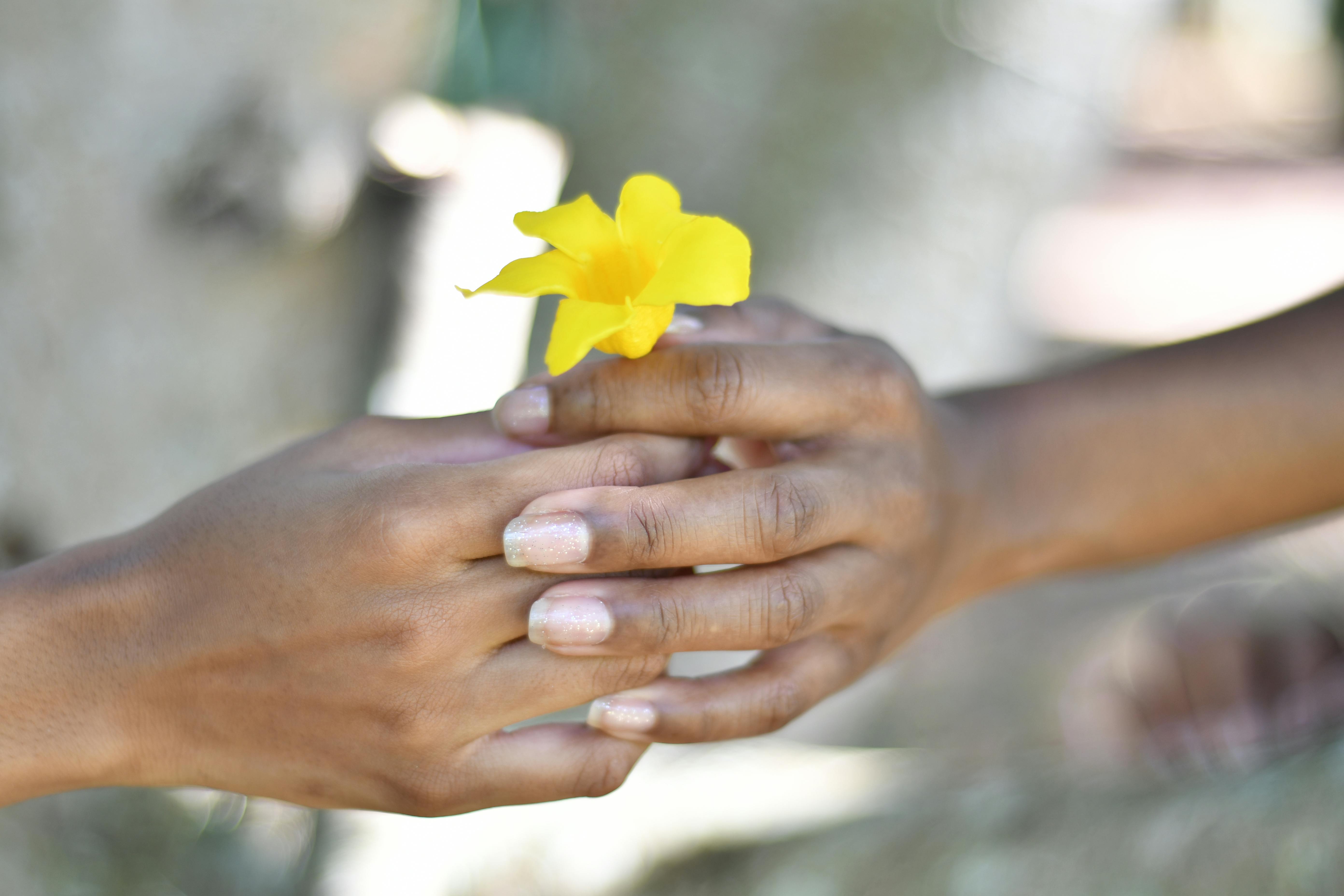 Close-up of two hands exchanging a yellow flower, symbolizing tenderness and affection.