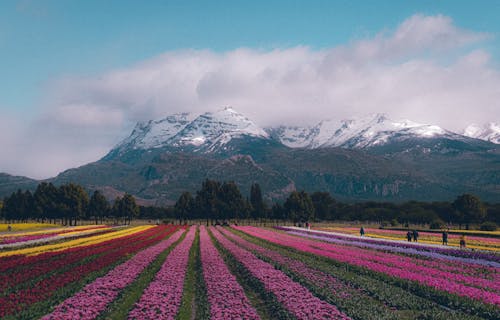 Gratis lagerfoto af Argentina, bane, bjerg