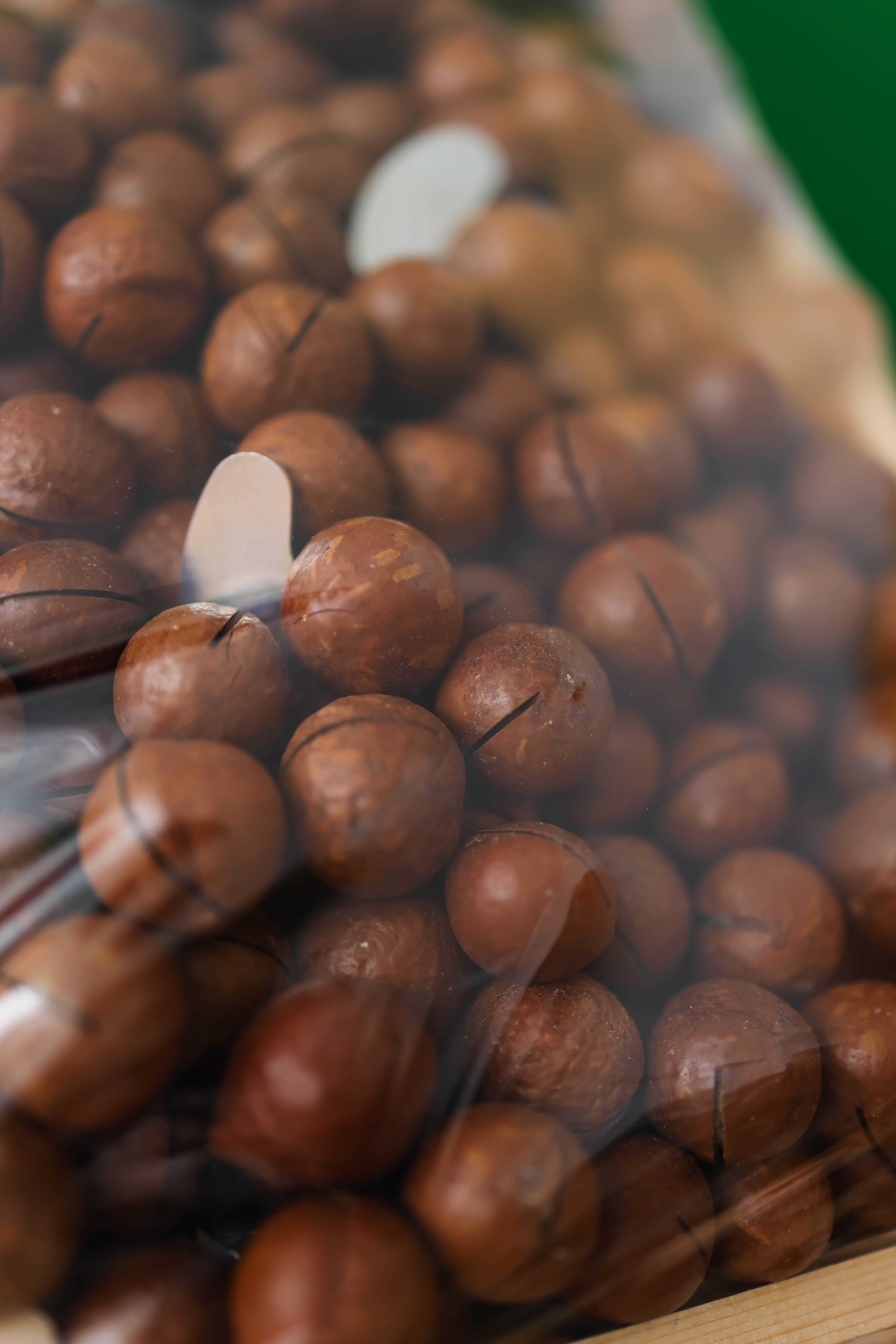 A detailed view of raw macadamia nuts inside transparent packaging, showcasing their natural texture and appeal.