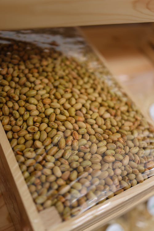 A wooden box filled with green beans