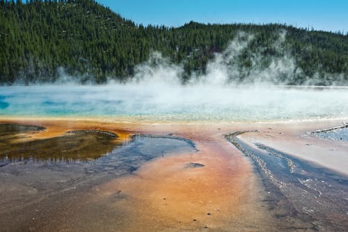 Ilmainen kuvapankkikuva tunnisteilla appelsiini, bakteerit, geologia