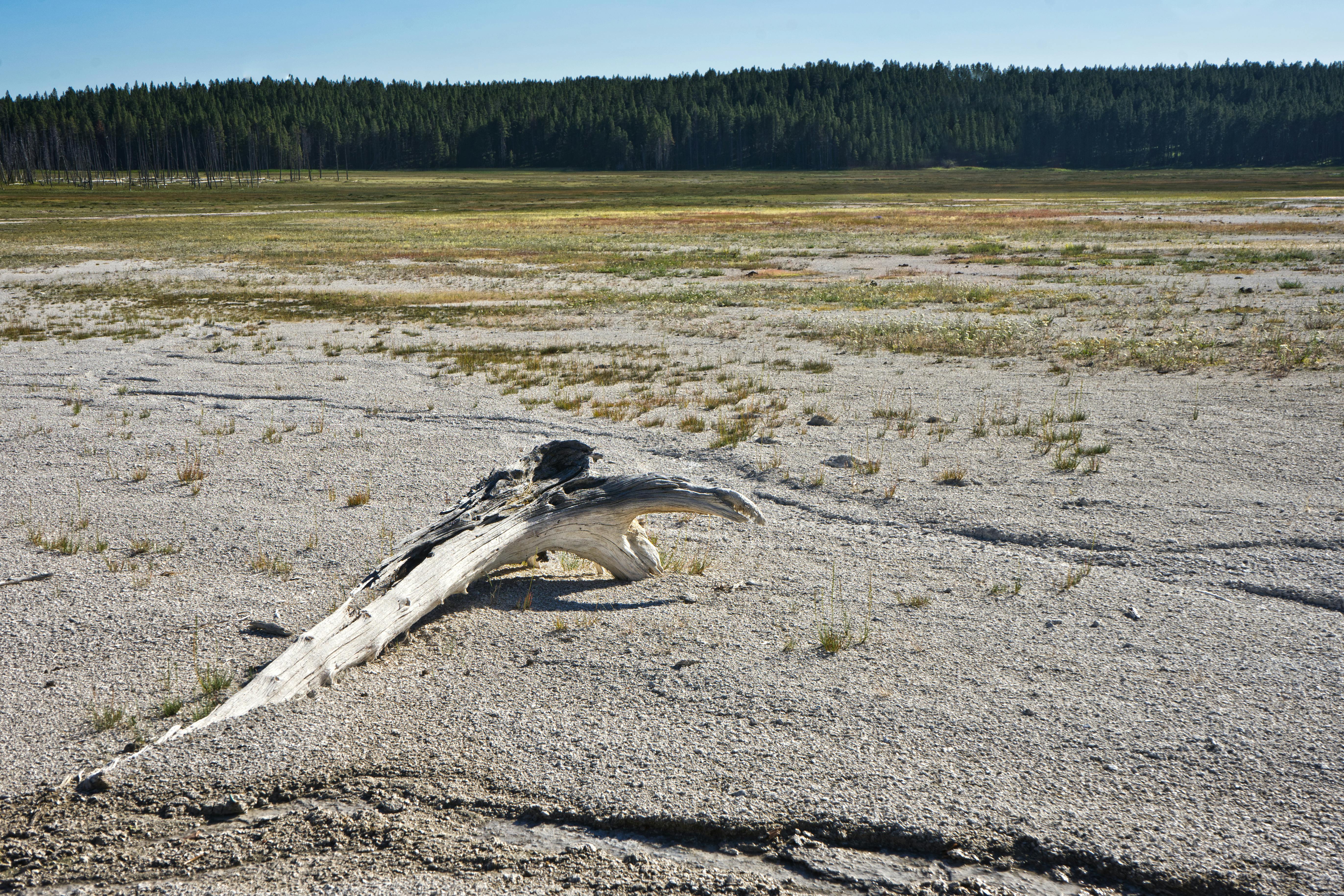 Bering Land Bridge National Preserve, USA - travel photo