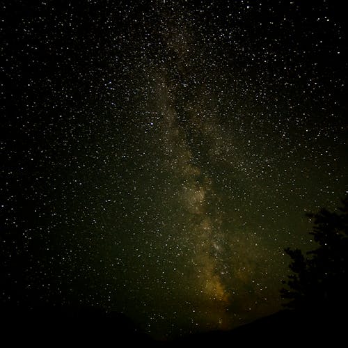 The milky is seen in the night sky above a forest