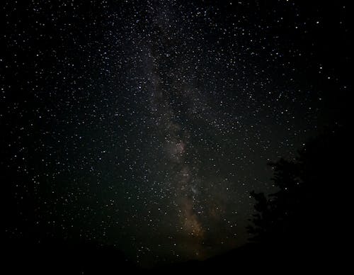 The milky way in the night sky above a forest