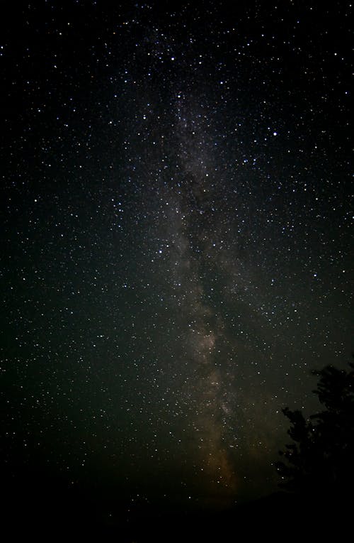 垂直ショット, 夜, 天の川の無料の写真素材