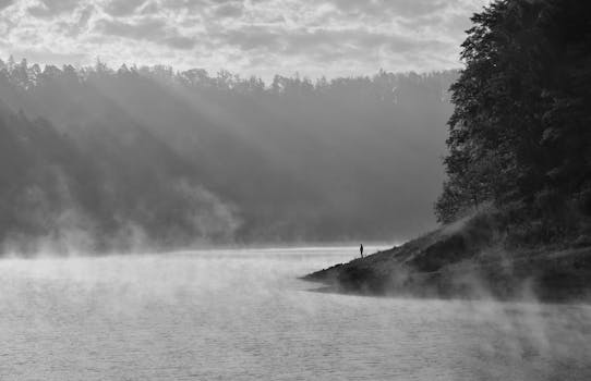 A solitary person stands by a misty lake, surrounded by a tranquil forest.