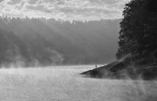 Free A solitary person stands by a misty lake, surrounded by a tranquil forest. Stock Photo