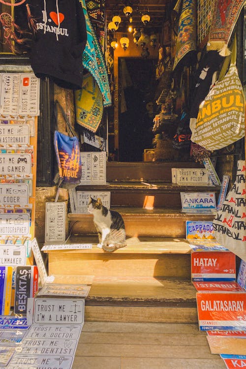 Fotobanka s bezplatnými fotkami na tému akcia, Istanbul, kiosk