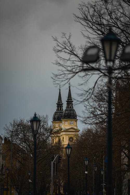 Foto d'estoc gratuïta de arbres nus, enfocament selectiu, Església