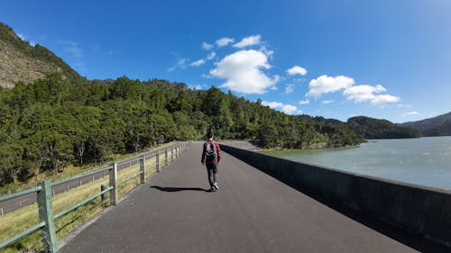 Huia dam, West Auckland