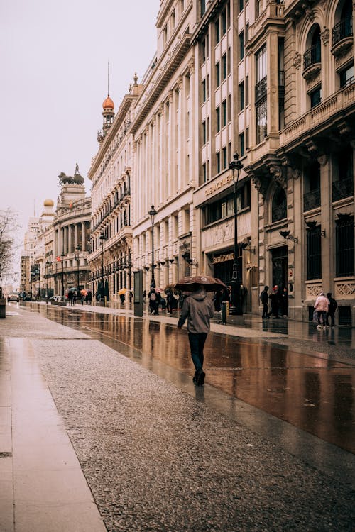 걷고 있는, 날씨, 도시의 무료 스톡 사진
