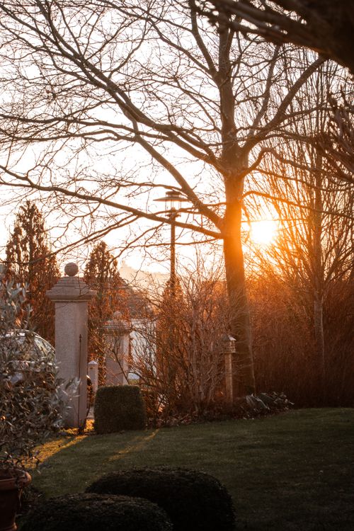 Free Serene autumn sunset over a park in Oberviechtach with bare trees and warm light. Stock Photo