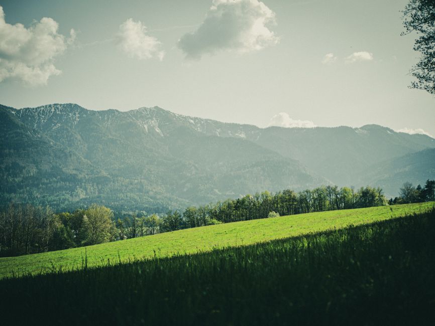 Idyllic view of lush meadows and distant mountains in Villach, Austria.