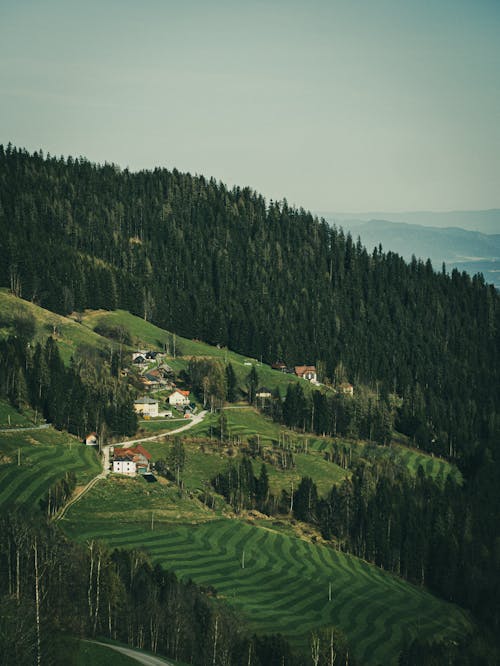 Foto profissional grátis de agricultura, Alpes, alvorecer