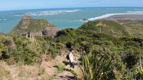 Whatipu beach track