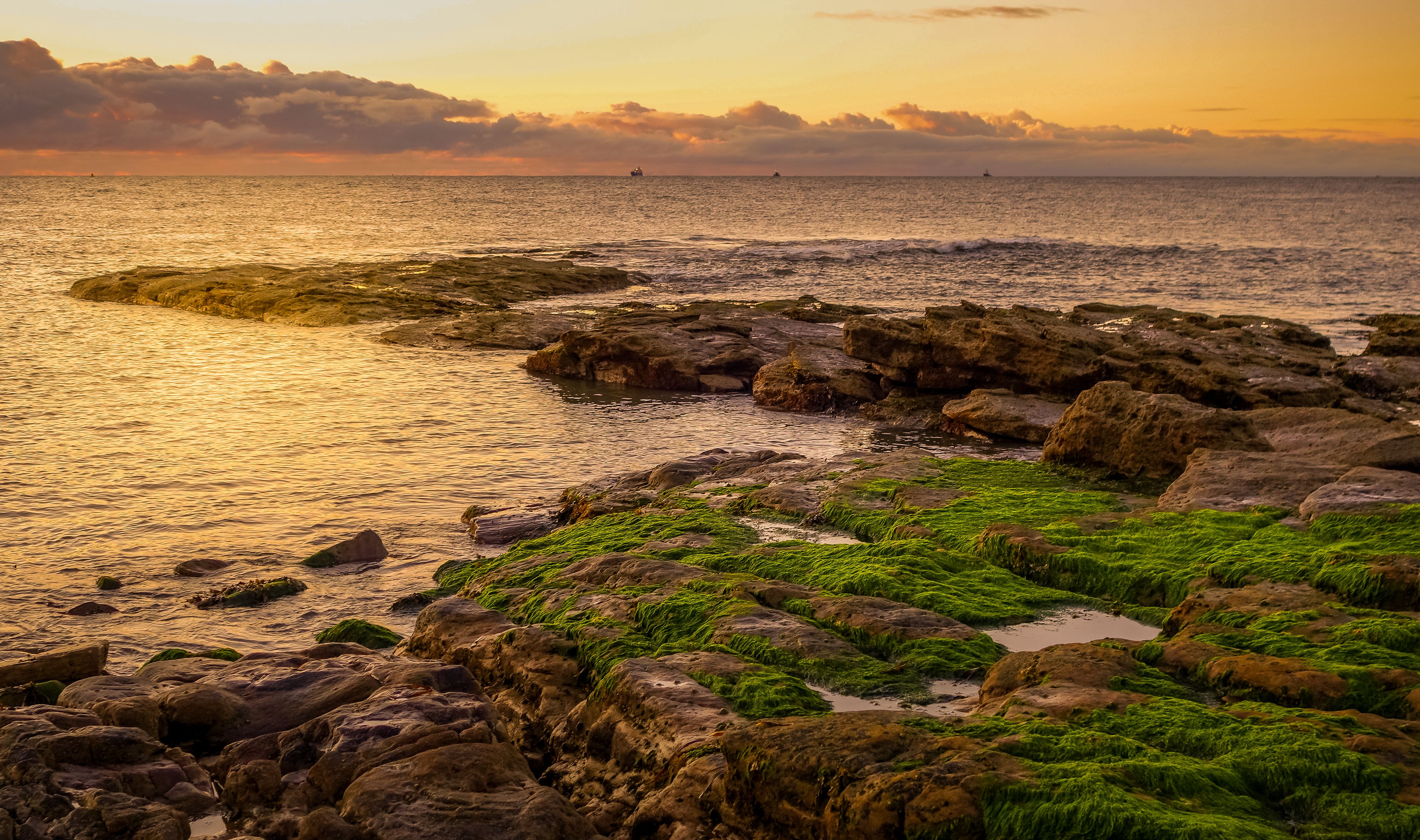 Moss Covered Rocks on Sea Shore at Sunset · Free Stock Photo