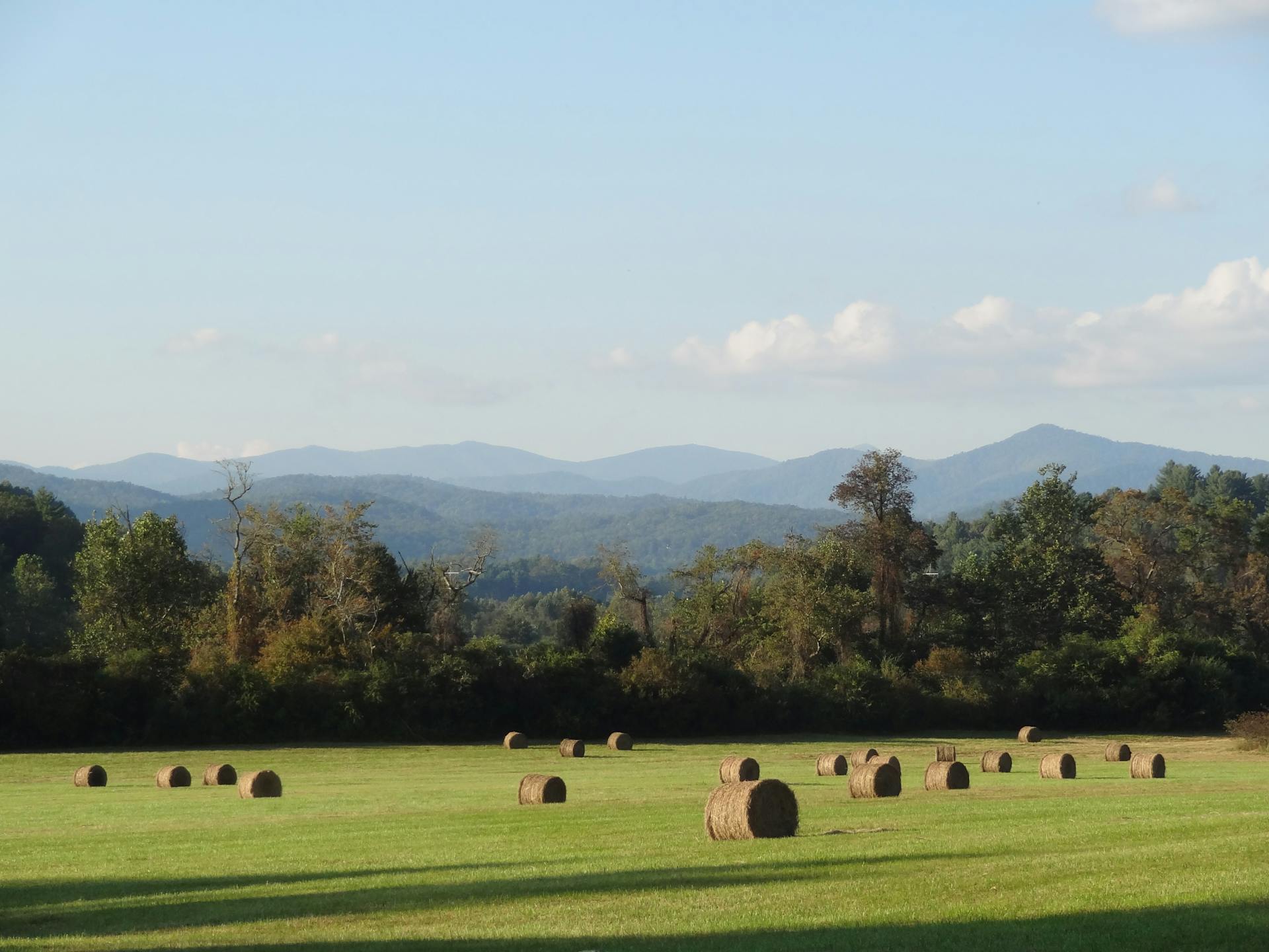 Picturesque view of hay bales in a green field with the Blue Ridge Mountains on a clear day.