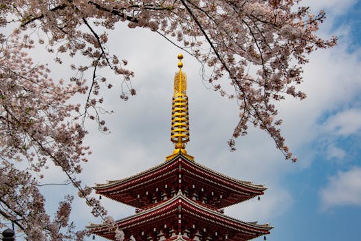 在东京的春日天空下，一座美丽的佛塔被樱花环绕