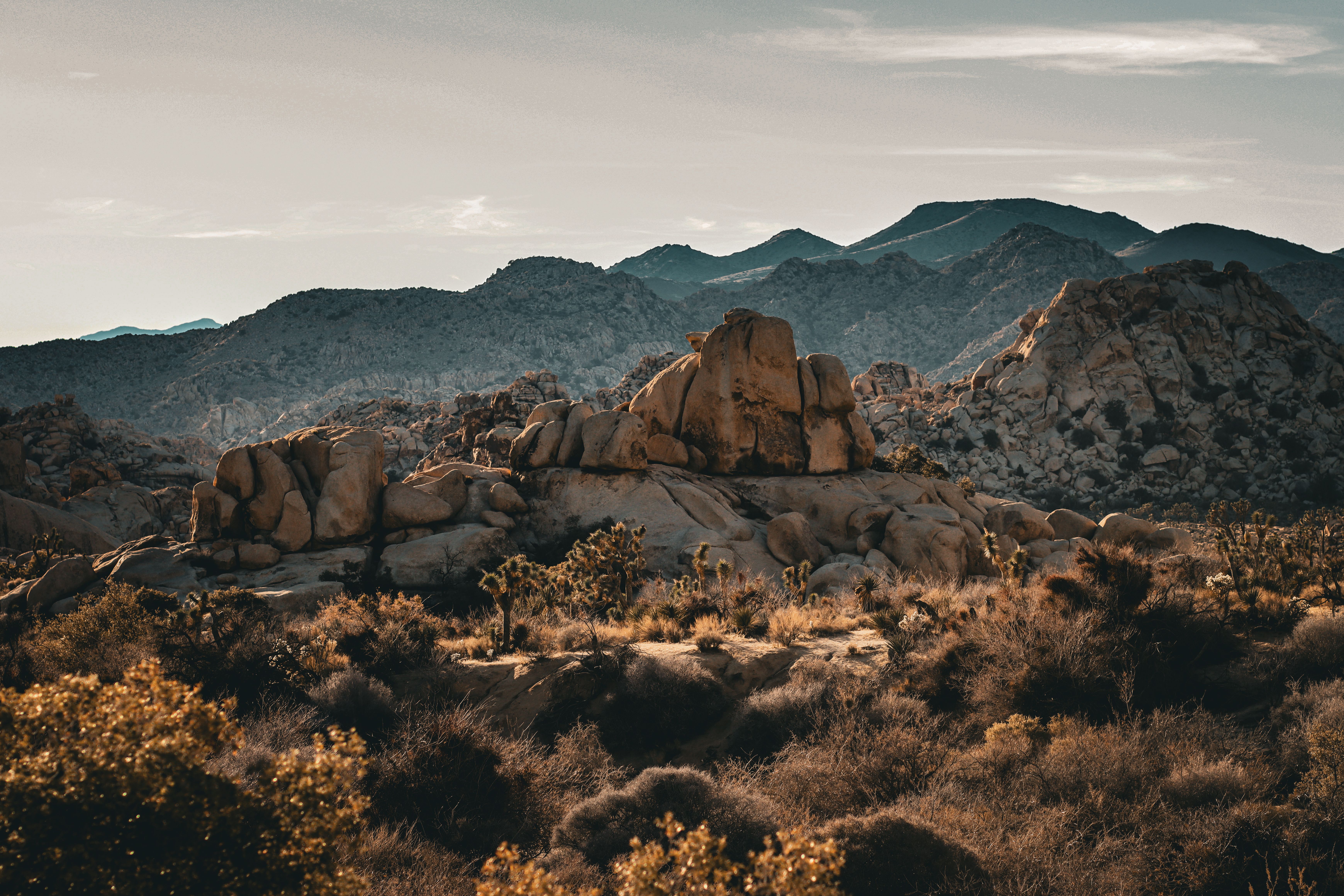Joshua Tree National Park desert boulders service area