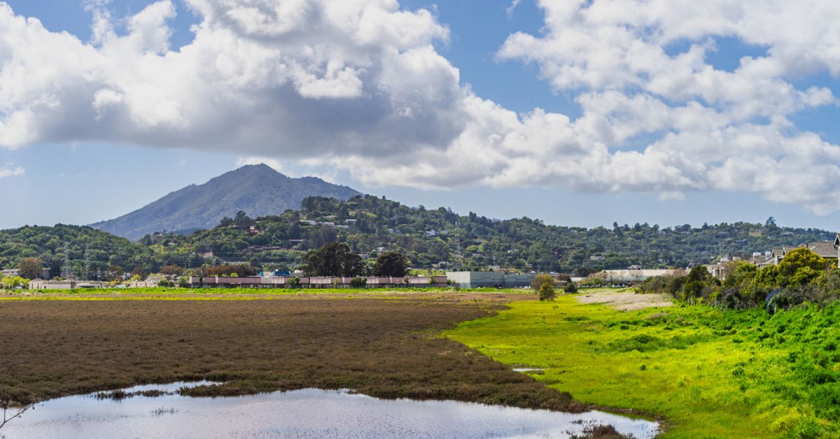Lush countryside landscape featuring a prominent hill and reflective puddle under a cloudy sky.