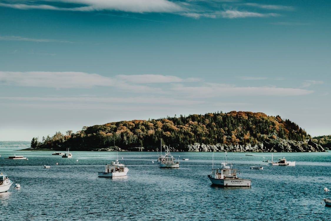 White Boats on Body of Water