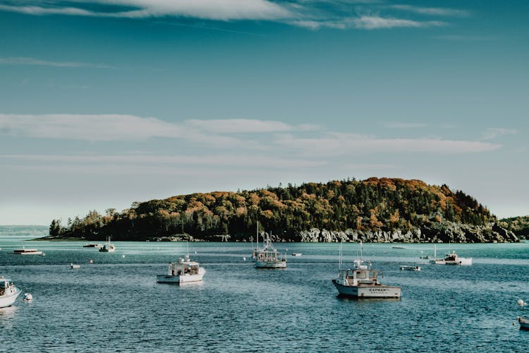 White Boats On Body Of Water