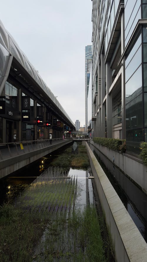 Fotos de stock gratuitas de elizabethline, hermoso londres, Londres