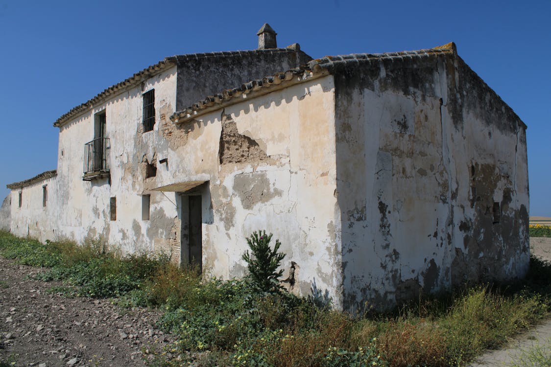 casa de la viña de María Manuela - fotografía 2