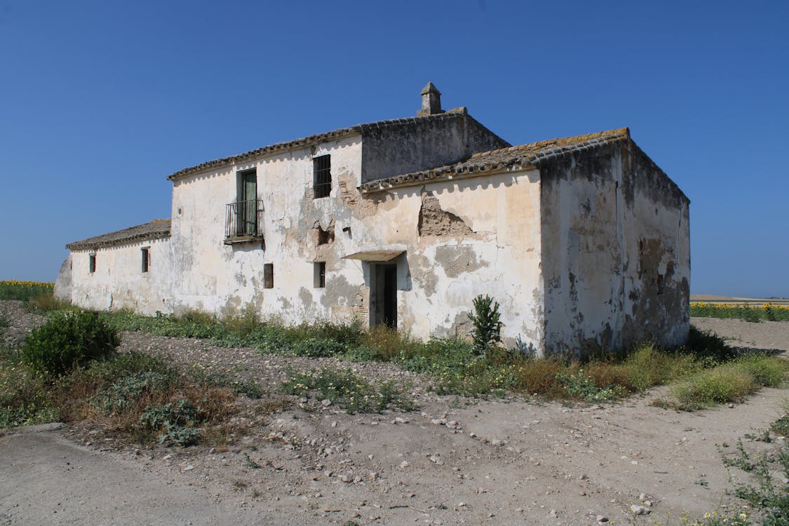 casa de la viña de María Manuela - fotografía 1